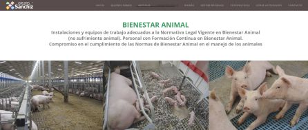 Diez meses de trabajo en la granja porcina de Balsa de Ves Diez meses de trabajo en la granja porcina de Balsa de Ves