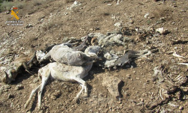 Animales muertos localizados Animales muertos localizados