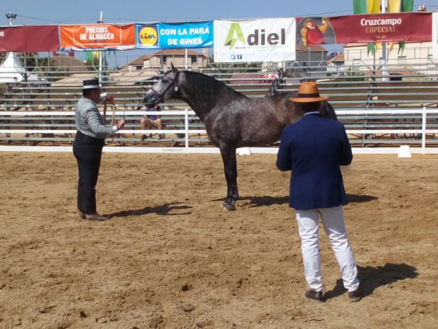 Hoy por Hoy desde 'La Pará' de Gines Hoy por Hoy desde 'La Pará' de Gines