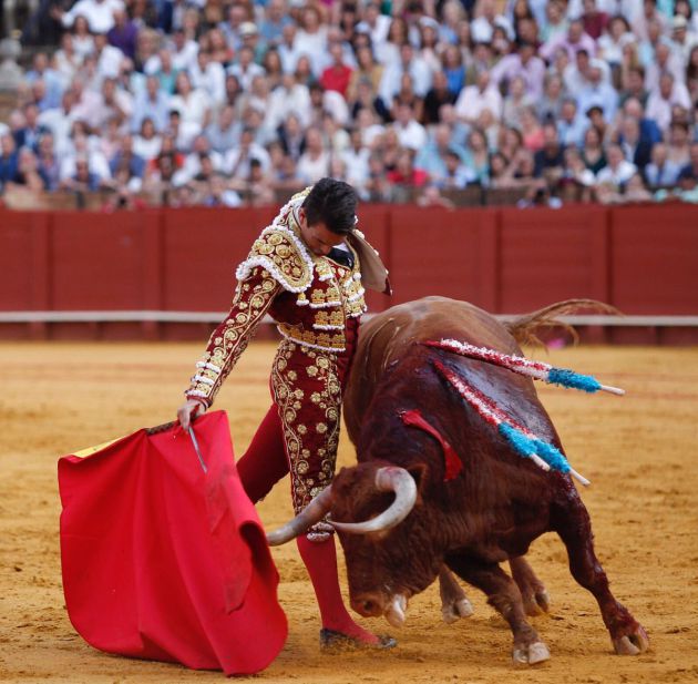 Manzanares ante el quinto toro de la tarde Manzanares ante el quinto toro de la tarde