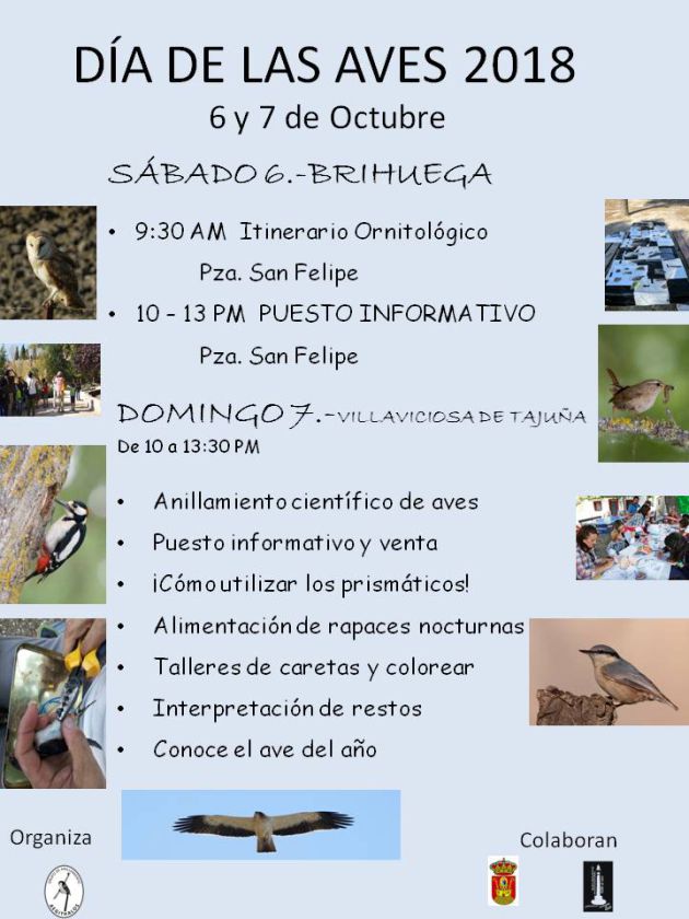 Guadalajara, un magnífico lugar para escuchar y contemplar a las aves: Guadalajara, un magnífico lugar para escuchar y contemplar a las aves Guadalajara, un magnífico lugar para escuchar y contemplar a las aves: Guadalajara, un magnífico lugar para escuchar y contemplar a las aves