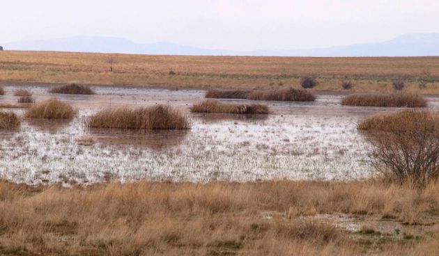 Imagen de las Lagunas de Puebla de Beleña. Imagen de las Lagunas de Puebla de Beleña.