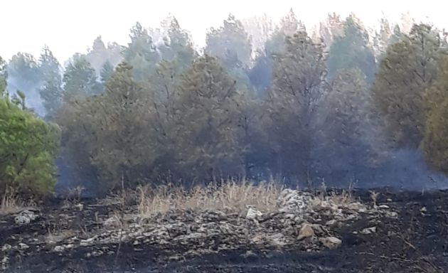 El incendio quedó controlado a las 20.00 h del domingo. El incendio quedó controlado a las 20.00 h del domingo.