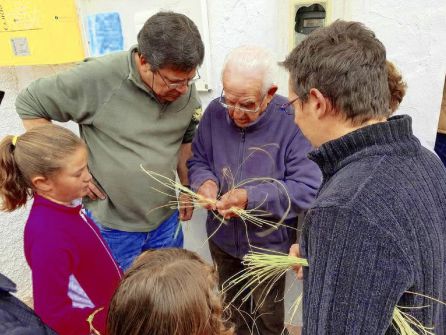 Los planazos del fin de semana Los planazos del fin de semana