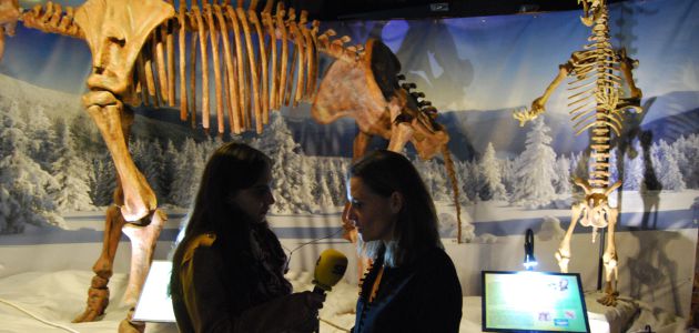 A pie de calle Madrid Oeste 11-10-2018 – Dinopétrea A pie de calle Madrid Oeste 11-10-2018 – Dinopétrea