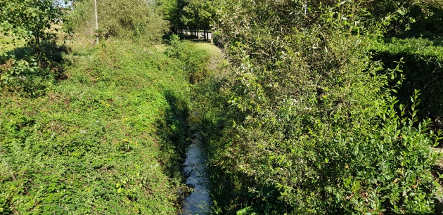 El Arroyo Tronquerías a la altura de Miravalles El Arroyo Tronquerías a la altura de Miravalles
