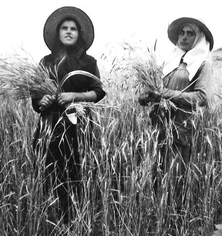 Mujeres campesinas. Mujeres campesinas.