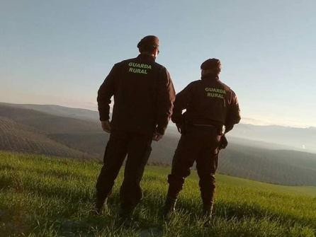 Juani y Fermín en una de sus jornadas de vigilancia por la loma de Úbeda Juani y Fermín en una de sus jornadas de vigilancia por la loma de Úbeda