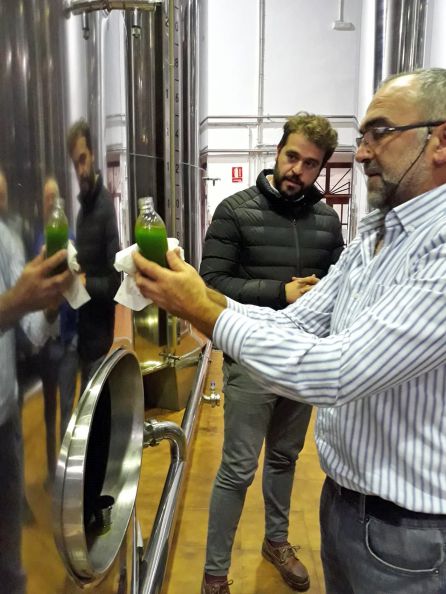 El alcalde observa aceite temprano, extraido el pasado viernes, que le muestra un técnico El alcalde observa aceite temprano, extraido el pasado viernes, que le muestra un técnico