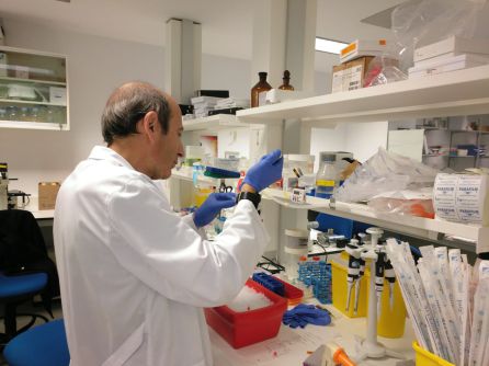 Eduardo Molina, jefe del laboratorio de neuroinflamación Eduardo Molina, jefe del laboratorio de neuroinflamación