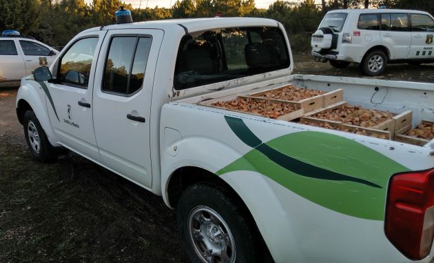 Decomisados 160 kilos de setas en la provincia de Guadalajara a recolectores ilegales: 160 kilos de níscalos decomisados en los montes de La Mierla y Tamajón Decomisados 160 kilos de setas en la provincia de Guadalajara a recolectores ilegales: 160 kilos de níscalos decomisados en los montes de La Mierla y Tamajón