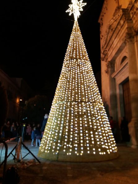 Árbol de navidad instalado en la lonja de acceso a la Iglesia de la Asunción Árbol de navidad instalado en la lonja de acceso a la Iglesia de la Asunción
