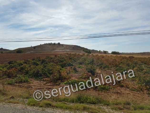 Hallada en buen estado la mujer desaparecida en Mondéjar (Guadalajara): Hallada en buen estado la mujer desaparecida en Mondéjar Hallada en buen estado la mujer desaparecida en Mondéjar (Guadalajara): Hallada en buen estado la mujer desaparecida en Mondéjar