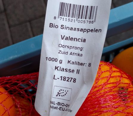 Taronges de la varietat València procedents de Sud-àfrica introduïdes a la Unió Europea a través d'Holanda Taronges de la varietat València procedents de Sud-àfrica introduïdes a la Unió Europea a través d'Holanda
