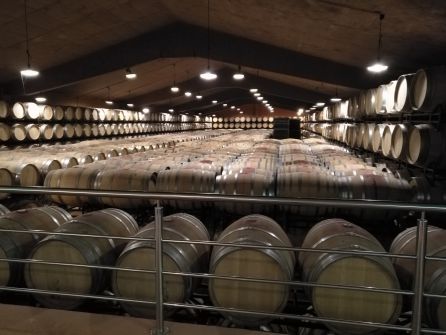 Sostenibilidad y transgresión, esencias del vino Sostenibilidad y transgresión, esencias del vino