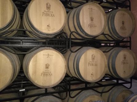 Sostenibilidad y transgresión, esencias del vino Sostenibilidad y transgresión, esencias del vino