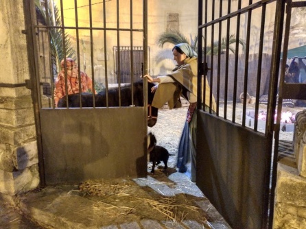 La representación viviente del Belén, de nuevo llena las calles La representación viviente del Belén, de nuevo llena las calles