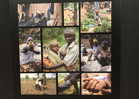 Algunas de las fotografías que se pueden ver en la exposición. Algunas de las fotografías que se pueden ver en la exposición.