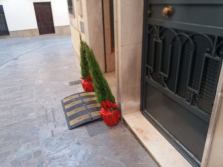 Dos de los Arbolitos de Navidad, en uno de los estableciinetos de la ciudad Dos de los Arbolitos de Navidad, en uno de los estableciinetos de la ciudad