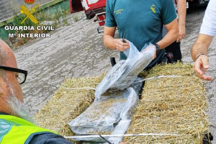 Bizkaia, implicada en el mayor alijo de marihuana intervenida en España Bizkaia, implicada en el mayor alijo de marihuana intervenida en España