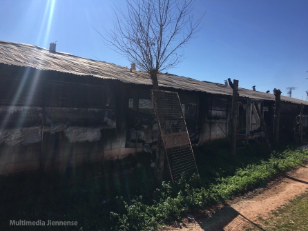 Exterior de la granja calcinada en la localidad de Vilches y donde han fallecido 15.000 pollos en el incendio Exterior de la granja calcinada en la localidad de Vilches y donde han fallecido 15.000 pollos en el incendio