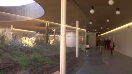 El edificio aprovecha la luz natural en cada uno de sus rincones. La zona de recepción cuanta con tragaluces de grandes dimensiones que aportan una gran luminosidad en la zona de recepcion y distribución El edificio aprovecha la luz natural en cada uno de sus rincones. La zona de recepción cuanta con tragaluces de grandes dimensiones que aportan una gran luminosidad en la zona de recepcion y distribución