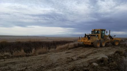 Finaliza la restauración ambiental de La Laguna de Pedraza de Campos Finaliza la restauración ambiental de La Laguna de Pedraza de Campos