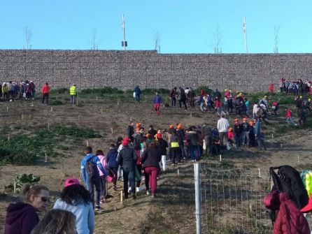 Las zonas de plantación fuero previamente marcadas para despues distribuir los equipos que llevaron a cabo el trabajo Las zonas de plantación fuero previamente marcadas para despues distribuir los equipos que llevaron a cabo el trabajo