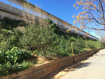 Talud línea de Tren Cercanías Talud línea de Tren Cercanías