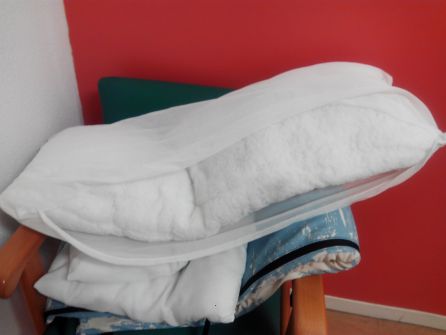 Almohadas rotas, goteras y puertas bloqueadas en la residencia de ancianos de Orcasur Almohadas rotas, goteras y puertas bloqueadas en la residencia de ancianos de Orcasur