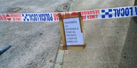 El PSOE critica la desidia del equipo de Ponferrada para retirar un árbol del colegio La Cogolla El PSOE critica la desidia del equipo de Ponferrada para retirar un árbol del colegio La Cogolla