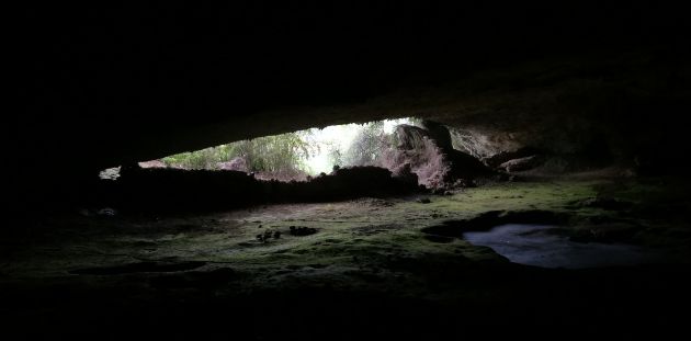 Entrada a la cueva del Sierpe vista desde el interior. Entrada a la cueva del Sierpe vista desde el interior.