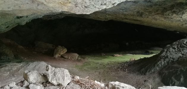 Entrada a la cueva del Sierpe. Entrada a la cueva del Sierpe.