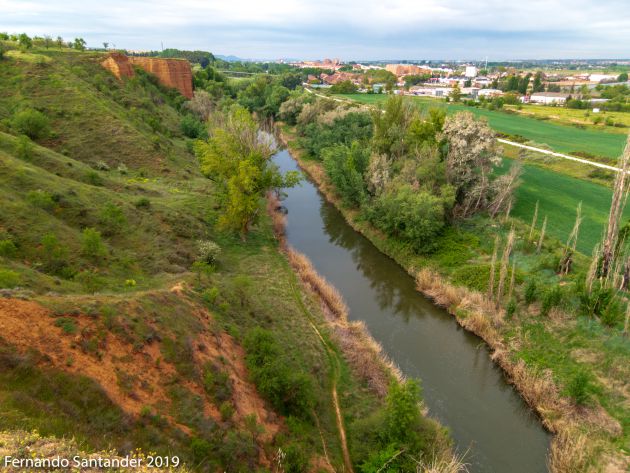 Turismo naturaleza: La diversidad "emplumada" del Henares en su curso por la provincia: La diversidad "emplumada" del río Henares a su paso por la provincia Turismo naturaleza: La diversidad "emplumada" del Henares en su curso por la provincia: La diversidad "emplumada" del río Henares a su paso por la provincia