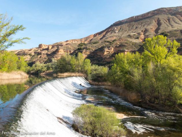 Turismo naturaleza: La diversidad "emplumada" del Henares en su curso por la provincia: La diversidad "emplumada" del río Henares a su paso por la provincia Turismo naturaleza: La diversidad "emplumada" del Henares en su curso por la provincia: La diversidad "emplumada" del río Henares a su paso por la provincia