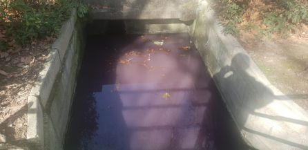 La AA.VV. de San Pablo y Santa Marina denuncia la dejadez del parque de los Jardinillos La AA.VV. de San Pablo y Santa Marina denuncia la dejadez del parque de los Jardinillos