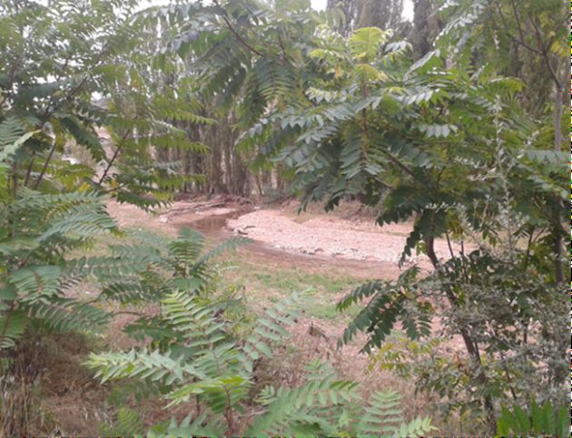 200.000 euros para arreglar cauces dañados por las lluvias torrenciales en Guadalajara: 200.000 euros para arreglar cauces dañados por las tormentas de otoño en Guadalajara 200.000 euros para arreglar cauces dañados por las lluvias torrenciales en Guadalajara: 200.000 euros para arreglar cauces dañados por las tormentas de otoño en Guadalajara
