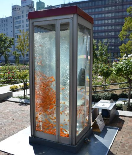 Cabina-pecera en Japón. Cabina-pecera en Japón.