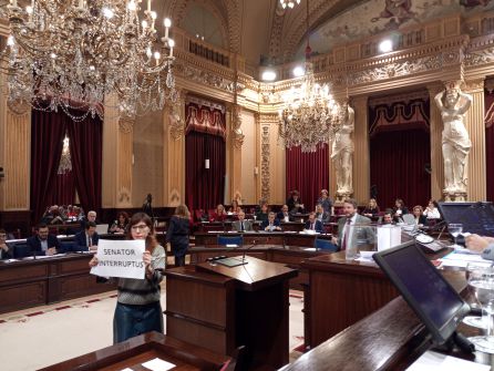 Toni Fuster, nuevo senador del PP por Balears en sustitución de Bauzá Toni Fuster, nuevo senador del PP por Balears en sustitución de Bauzá