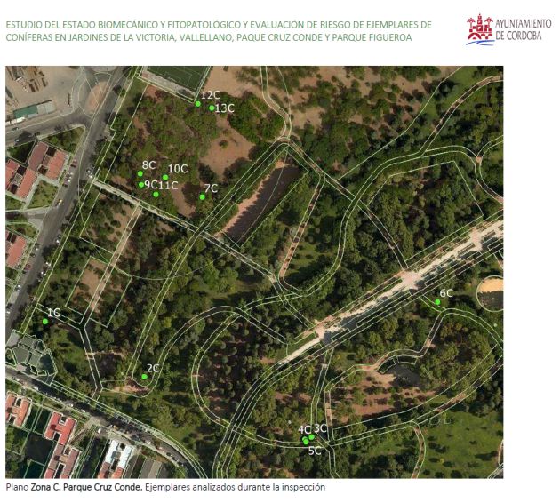Plano de la zona analizada en el Parque Cruz Conde Plano de la zona analizada en el Parque Cruz Conde