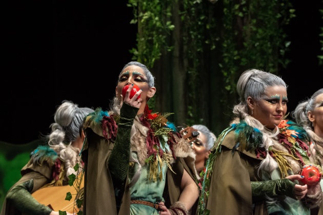Las Chimixurris. Preliminares COMBA 2019 Las Chimixurris. Preliminares COMBA 2019