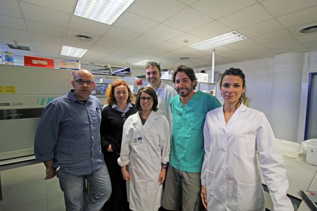Equipo que está llevando a cabo el proyecto de conservación de tiburones y rayas en el Mediterráneo Equipo que está llevando a cabo el proyecto de conservación de tiburones y rayas en el Mediterráneo