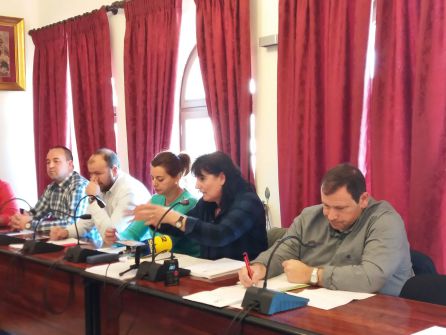 Momento de una de las intervenciones de la portavoz de IU, Juana Cazorla Momento de una de las intervenciones de la portavoz de IU, Juana Cazorla