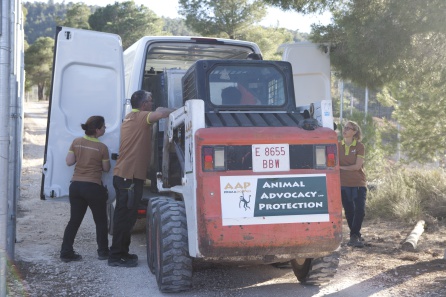 Animales cautividad Elda: Vigo y Kumba viajan ya a su hogar definitivo, el zoo de la Isla de Wigh Animales cautividad Elda: Vigo y Kumba viajan ya a su hogar definitivo, el zoo de la Isla de Wigh