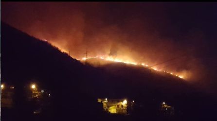 Un incendio entra en los parajes "río Palacios" y "valle del agua" de Palacios del Sil Un incendio entra en los parajes "río Palacios" y "valle del agua" de Palacios del Sil
