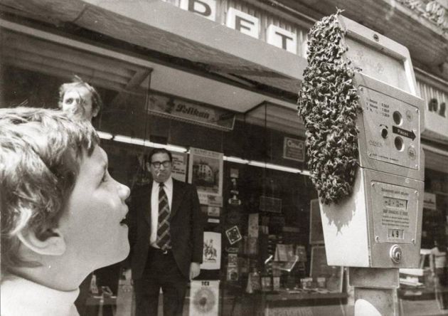 'Enjambre en parquímetro', primer premio categoría histórica. 'Enjambre en parquímetro', primer premio categoría histórica.