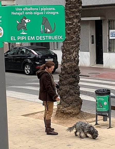 Lo que hacen en Algemesí para que los perros no orinen en las farolas Lo que hacen en Algemesí para que los perros no orinen en las farolas