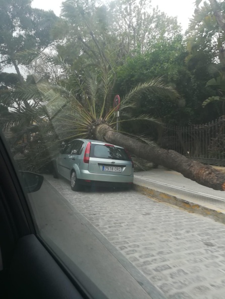 El temporal se hace notar en Cádiz El temporal se hace notar en Cádiz