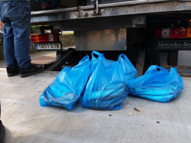 Bolsas de xarda repartidas esta mañana en Ovieddo Bolsas de xarda repartidas esta mañana en Ovieddo