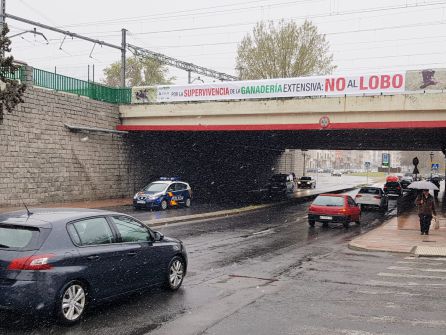 Han instalado pancartas en varias zonas de la ciudad Han instalado pancartas en varias zonas de la ciudad
